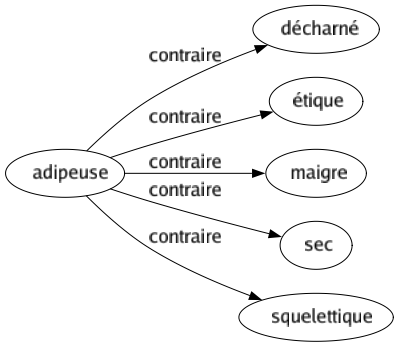 Contraire de Adipeuse : Décharné Étique Maigre Sec Squelettique 