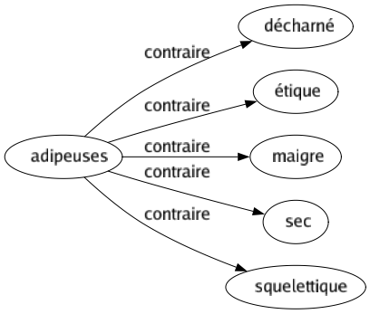 Contraire de Adipeuses : Décharné Étique Maigre Sec Squelettique 