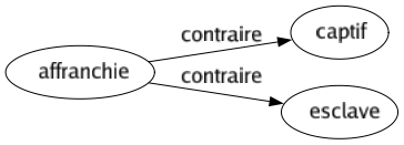 Contraire de Affranchie : Captif Esclave 