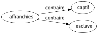 Contraire de Affranchies : Captif Esclave 