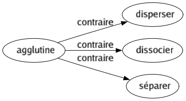 Contraire de Agglutine : Disperser Dissocier Séparer 