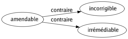 Contraire de Amendable : Incorrigible Irrémédiable 