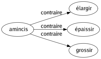 Contraire de Amincis : Élargir Épaissir Grossir 