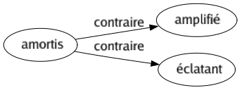 Contraire de Amortis : Amplifié Éclatant 