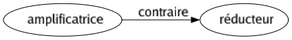 Contraire de Amplificatrice : Réducteur 