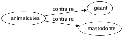 Contraire de Animalcules : Géant Mastodonte 