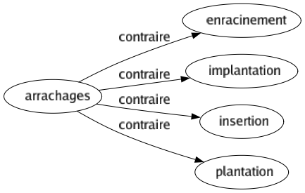 Contraire de Arrachages : Enracinement Implantation Insertion Plantation 