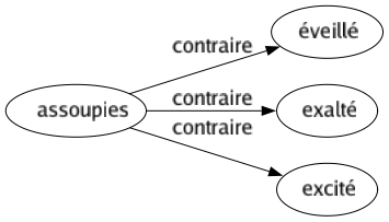 Contraire de Assoupies : Éveillé Exalté Excité 