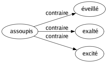 Contraire de Assoupis : Éveillé Exalté Excité 