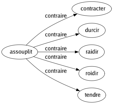 Contraire de Assouplit : Contracter Durcir Raidir Roidir Tendre 