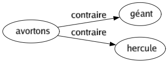 Contraire de Avortons : Géant Hercule 