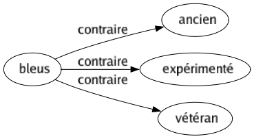 Contraire de Bleus : Ancien Expérimenté Vétéran 