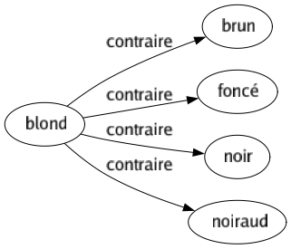 Contraire de Blond : Brun Foncé Noir Noiraud 