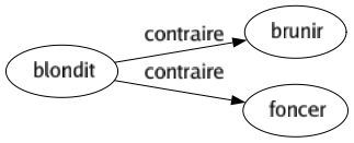 Contraire de Blondit : Brunir Foncer 