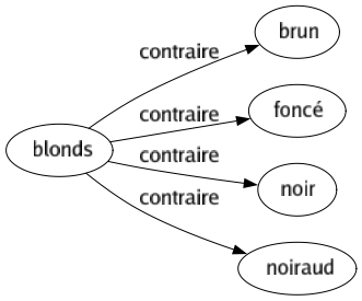 Contraire de Blonds : Brun Foncé Noir Noiraud 