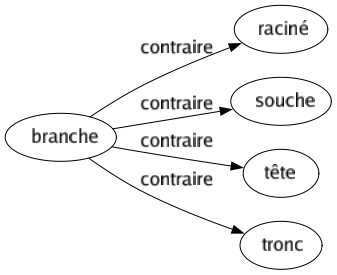 Contraire de Branche : Raciné Souche Tête Tronc 