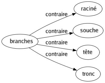 Contraire de Branches : Raciné Souche Tête Tronc 