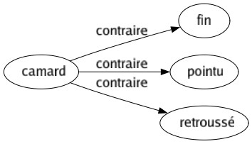 Contraire de Camard : Fin Pointu Retroussé 