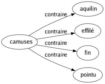 Contraire de Camuses : Aquilin Effilé Fin Pointu 