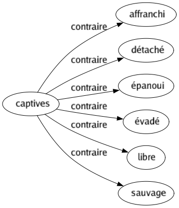 Contraire de Captives : Affranchi Détaché Épanoui Évadé Libre Sauvage 