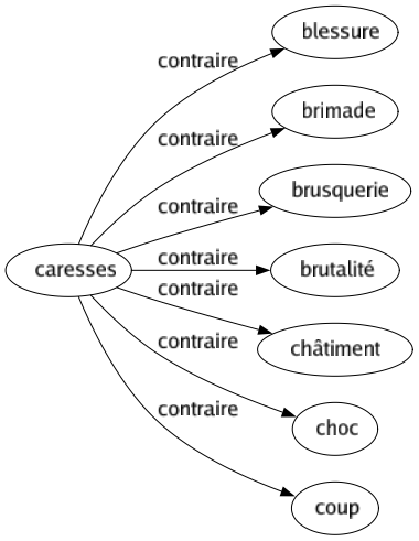 Contraire de Caresses : Blessure Brimade Brusquerie Brutalité Châtiment Choc Coup 