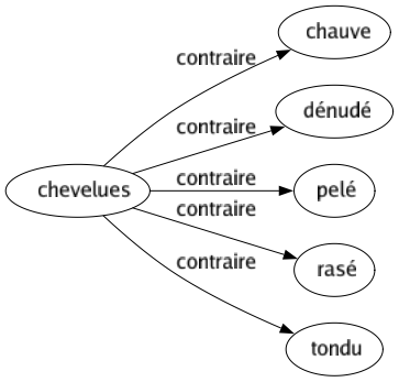 Contraire de Chevelues : Chauve Dénudé Pelé Rasé Tondu 