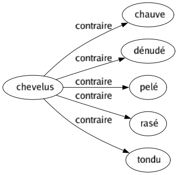 Contraire de Chevelus : Chauve Dénudé Pelé Rasé Tondu 