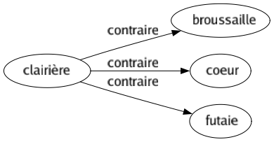 Contraire de Clairière : Broussaille Coeur Futaie 