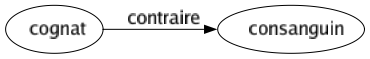 Contraire de Cognat : Consanguin 