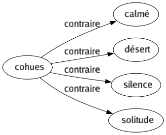 Contraire de Cohues : Calmé Désert Silence Solitude 