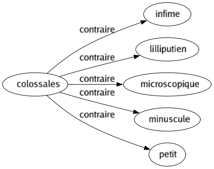 Contraire de Colossales : Infime Lilliputien Microscopique Minuscule Petit 