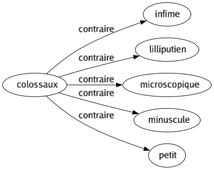 Contraire de Colossaux : Infime Lilliputien Microscopique Minuscule Petit 