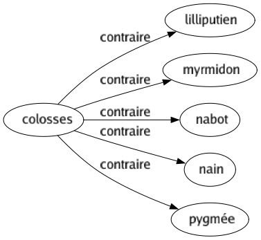 Contraire de Colosses : Lilliputien Myrmidon Nabot Nain Pygmée 