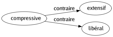 Contraire de Compressive : Extensif Libéral 