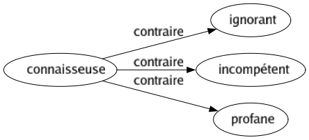 Contraire de Connaisseuse : Ignorant Incompétent Profane 