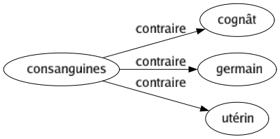 Contraire de Consanguines : Cognât Germain Utérin 