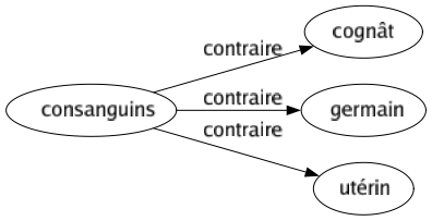 Contraire de Consanguins : Cognât Germain Utérin 