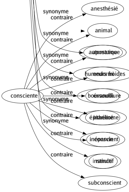 Contraire de Consciente : Anesthésié Animal Automatique Endormi Évanoui Inanimé Inconscient Instinctif Subconscient 