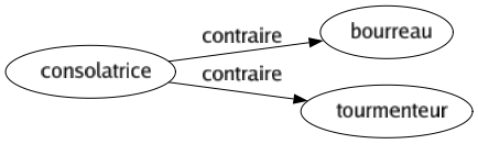 Contraire de Consolatrice : Bourreau Tourmenteur 