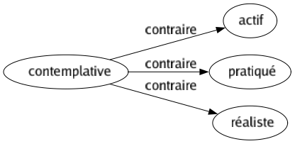 Contraire de Contemplative : Actif Pratiqué Réaliste 