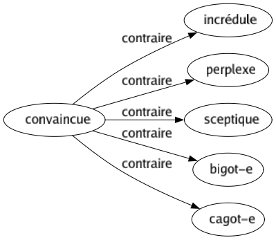 Contraire de Convaincue : Incrédule Perplexe Sceptique Bigot-e Cagot-e 