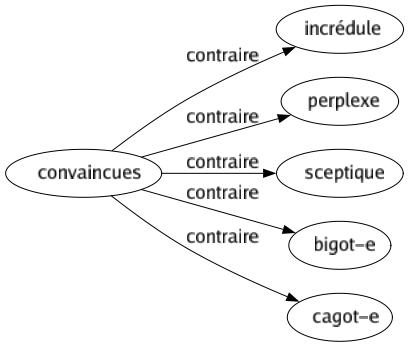 Contraire de Convaincues : Incrédule Perplexe Sceptique Bigot-e Cagot-e 