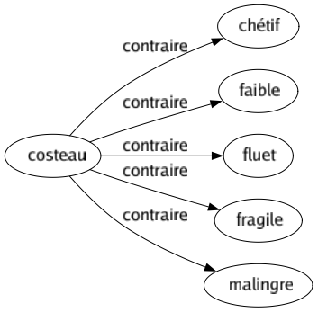 Contraire de Costeau : Chétif Faible Fluet Fragile Malingre 