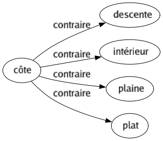 Contraire de Côte : Descente Intérieur Plaine Plat 