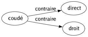 Contraire de Coudé : Direct Droit 