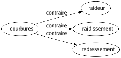 Contraire de Courbures : Raideur Raidissement Redressement 