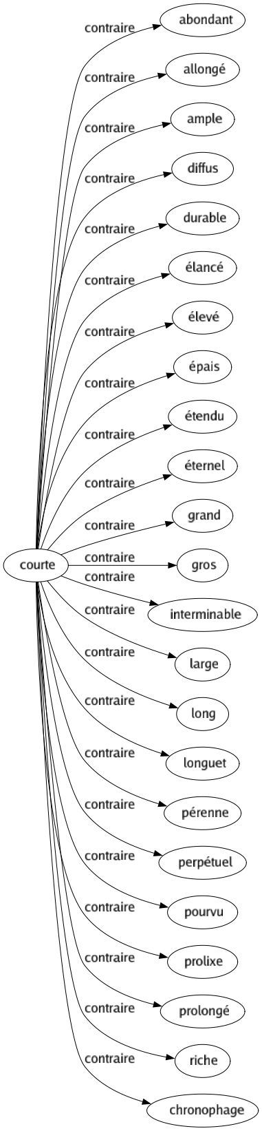 Contraire de Courte : Abondant Allongé Ample Diffus Durable Élancé Élevé Épais Étendu Éternel Grand Gros Interminable Large Long Longuet Pérenne Perpétuel Pourvu Prolixe Prolongé Riche Chronophage 