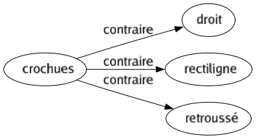 Contraire de Crochues : Droit Rectiligne Retroussé 