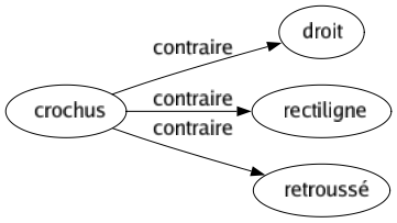 Contraire de Crochus : Droit Rectiligne Retroussé 