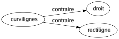 Contraire de Curvilignes : Droit Rectiligne 